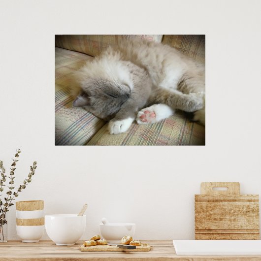 Trage dagen, poster (Keuken)