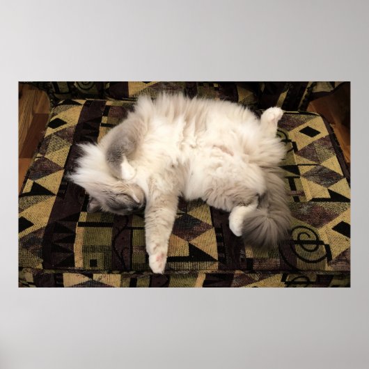 Trage dagen, poster (Voorkant)