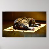 Trage dagen, poster (Voorkant)