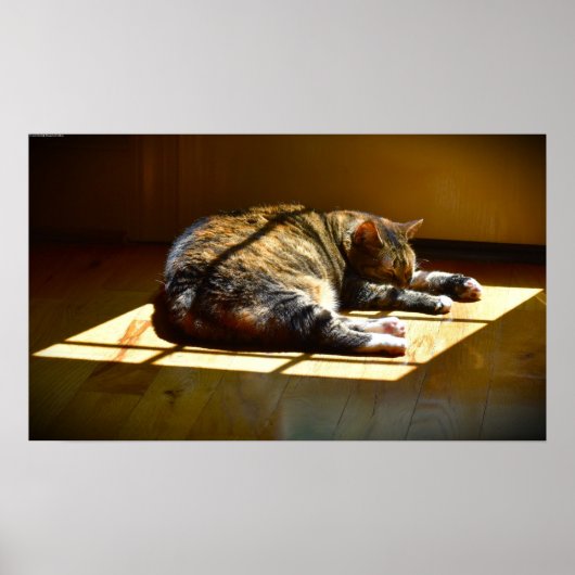 Trage dagen, poster (Voorkant)