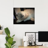 Trage dagen, poster (Thuiskantoor)