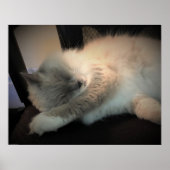 Trage dagen, poster (Voorkant)