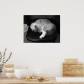 Trage dagen, poster (Keuken)