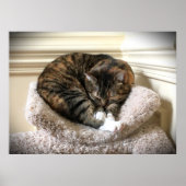 Trage dagen, poster (Voorkant)