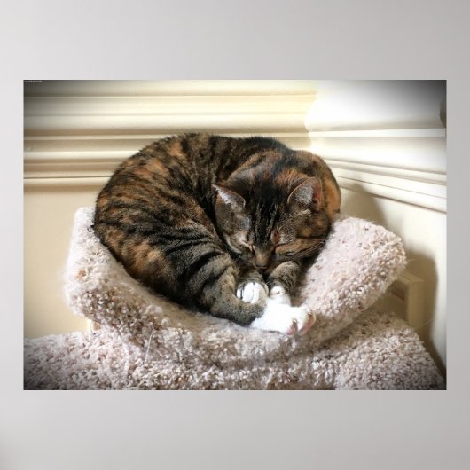 Trage dagen, poster (Voorkant)