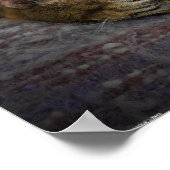 Trage Dagen, Poster (Hoek)