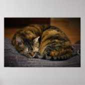 Trage Dagen, Poster (Voorkant)