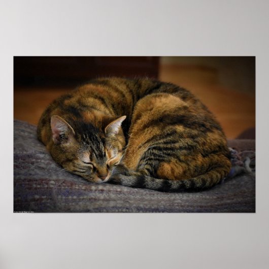 Trage Dagen, Poster (Voorkant)