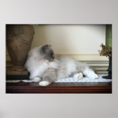 Trage dagen, poster (Voorkant)