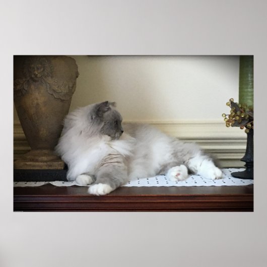 Trage dagen, poster (Voorkant)