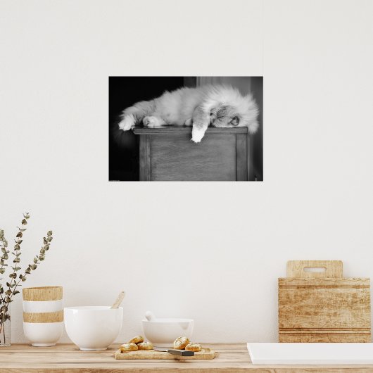 Trage dagen, poster (Keuken)