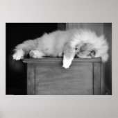 Trage dagen, poster (Voorkant)