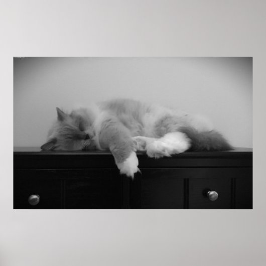 Trage dagen, poster (Voorkant)