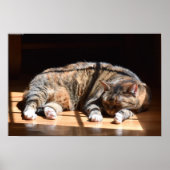 Trage dagen, poster (Voorkant)