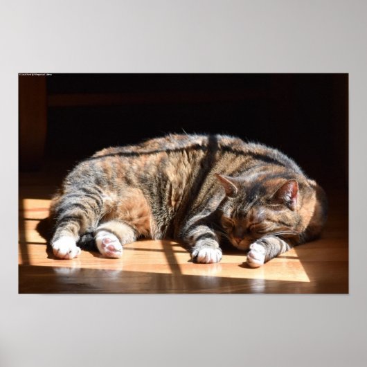 Trage dagen, poster (Voorkant)