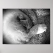 Trage dagen, poster (Voorkant)