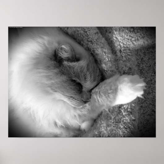 Trage dagen, poster (Voorkant)