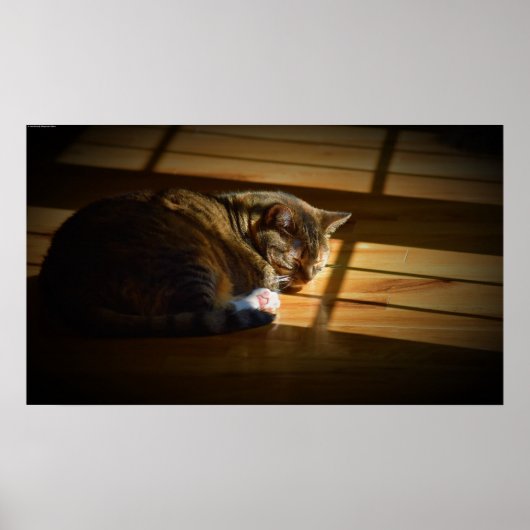 Trage dagen, poster (Voorkant)