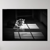 Trage dagen, poster (Voorkant)