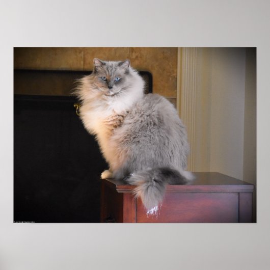 Trage dagen, poster (Voorkant)