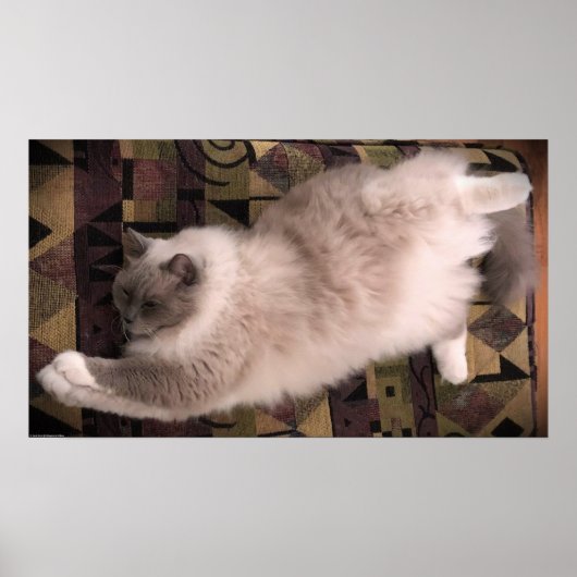 Trage dagen, poster (Voorkant)