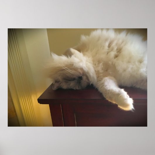 Trage dagen, poster (Voorkant)