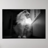 Trage dagen, poster (Voorkant)