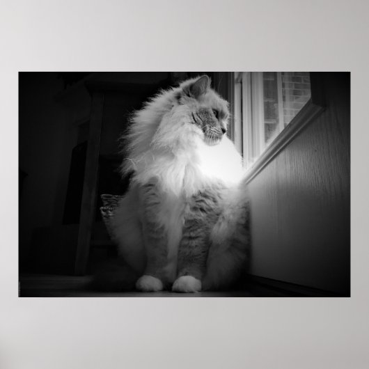 Trage dagen, poster (Voorkant)