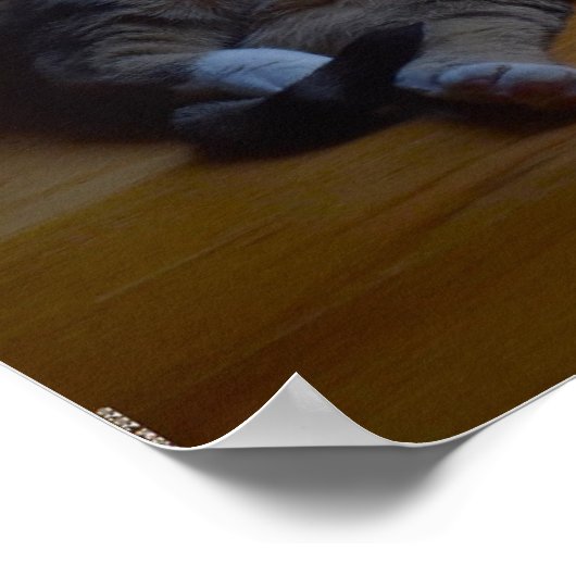 Trage dagen, poster (Hoek)