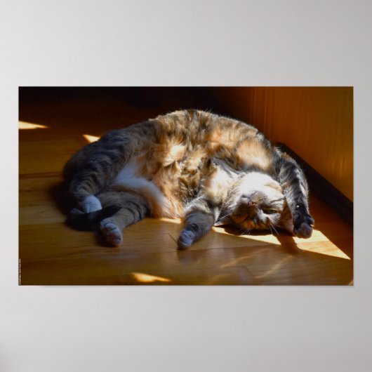 Trage dagen, poster (Voorkant)