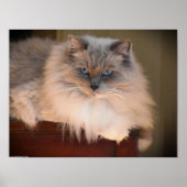 Trage dagen, poster (Voorkant)