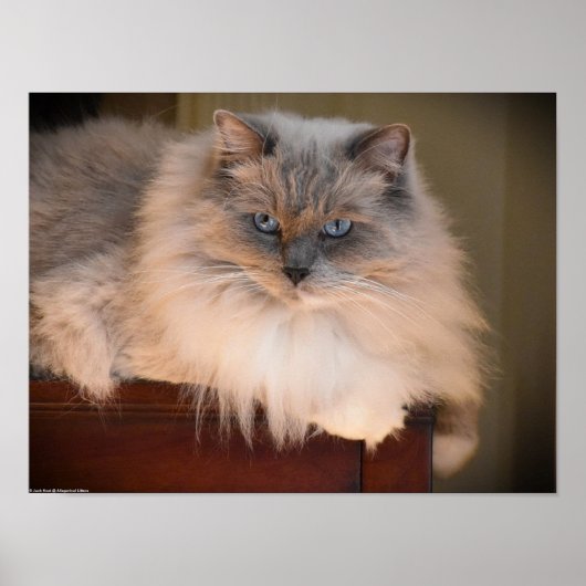 Trage dagen, poster (Voorkant)