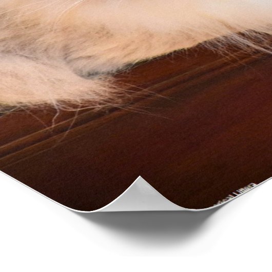 Trage dagen, poster (Hoek)