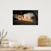 Trage dagen, poster (Keuken)