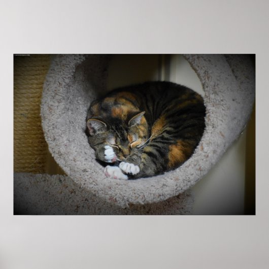 Trage dagen, poster (Voorkant)