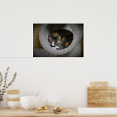 Trage dagen, poster (Keuken)