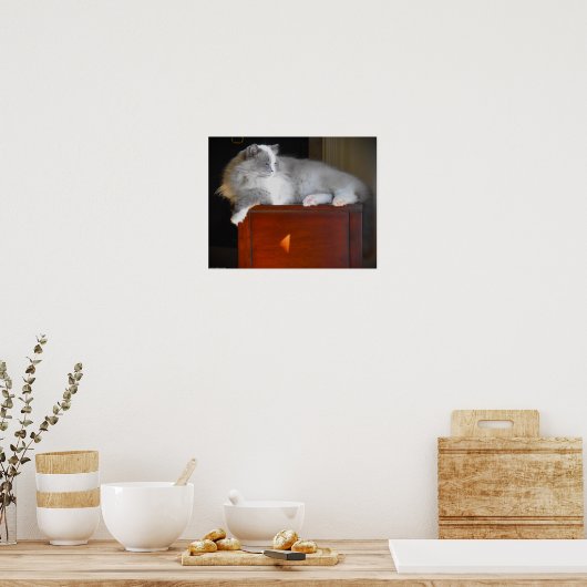 Trage dagen, poster (Keuken)
