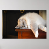 Trage dagen, poster (Voorkant)