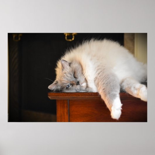 Trage dagen, poster (Voorkant)