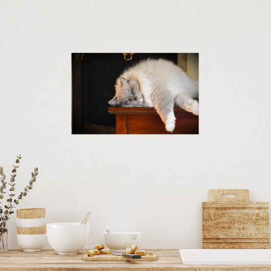 Trage dagen, poster (Keuken)