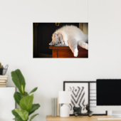 Trage dagen, poster (Thuiskantoor)