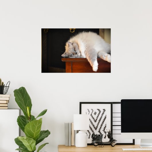 Trage dagen, poster (Thuiskantoor)