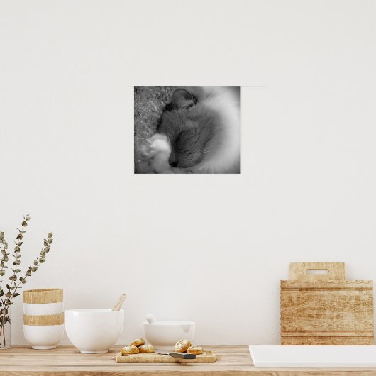 Trage dagen, poster (Keuken)