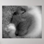 Trage dagen, poster (Voorkant)