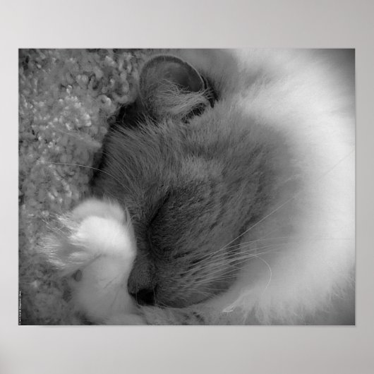 Trage dagen, poster (Voorkant)