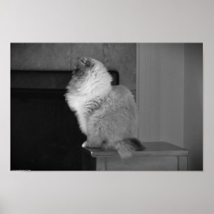 Trage dagen, poster