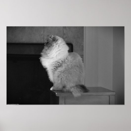 Trage dagen, poster (Voorkant)