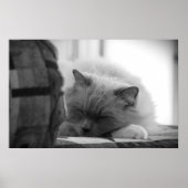 Trage dagen, poster (Voorkant)