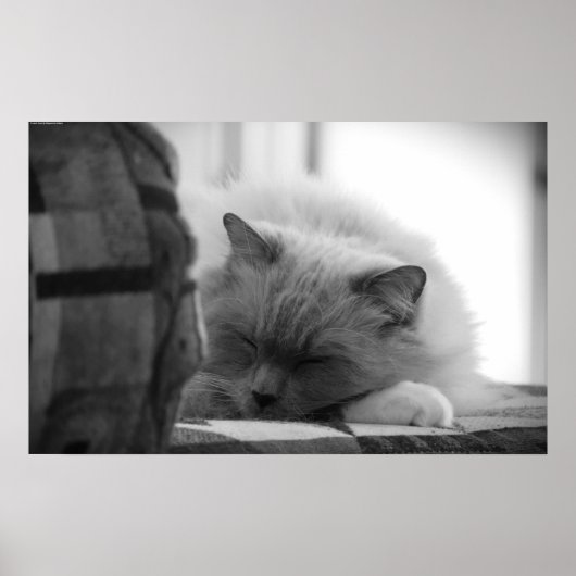 Trage dagen, poster (Voorkant)