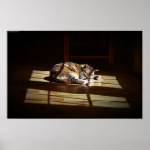 Trage dagen, poster (Voorkant)